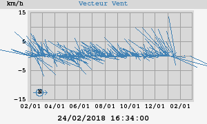 Wind Vector